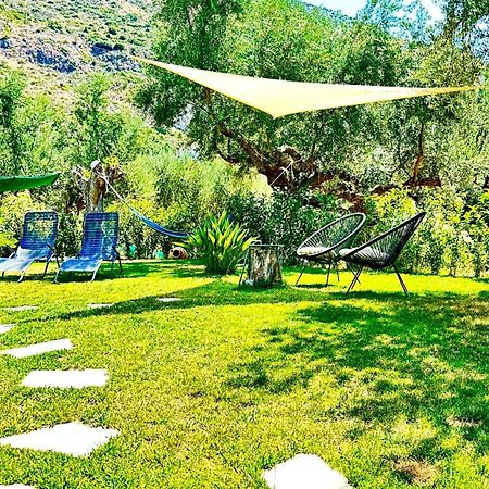 The Secret Garden At Villa Georgia Kalamata Extérieur photo