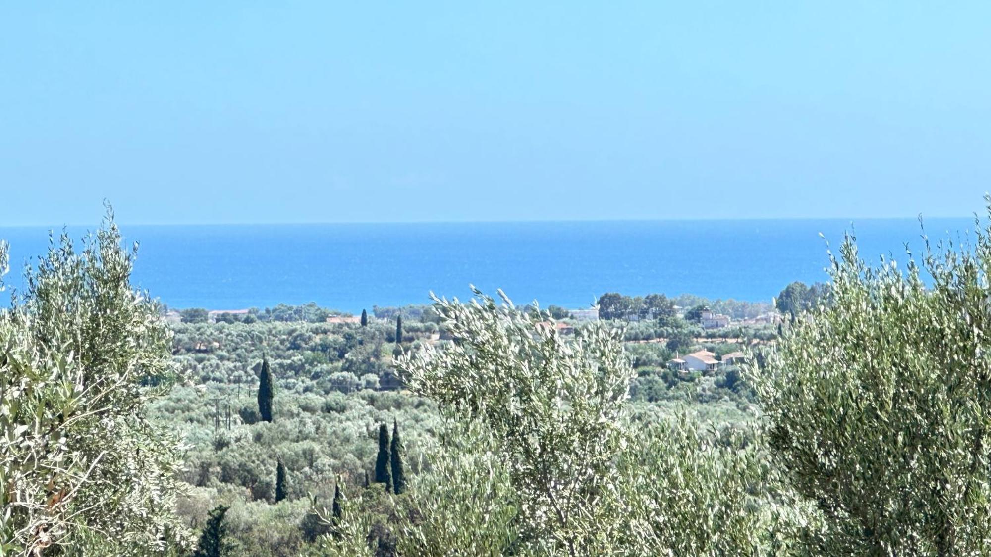 The Secret Garden At Villa Georgia Kalamata Extérieur photo